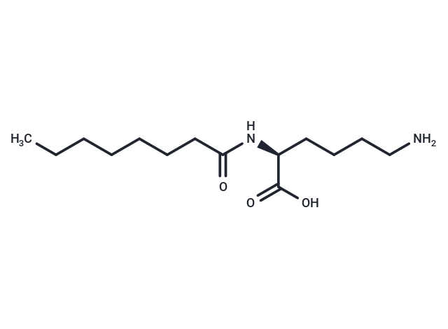 N2-Capryloyl lysine