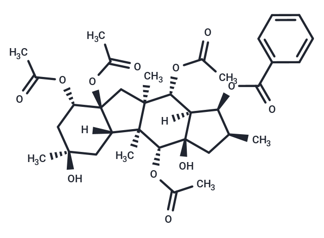 5-hydroxythalidomide