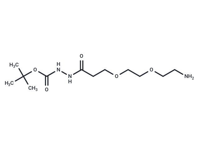 Amino-PEG2-C2-hydrazide-Boc