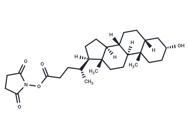 Lithocholyl-N-hydroxysuccinimide