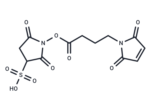 Mal-amino-sulfo