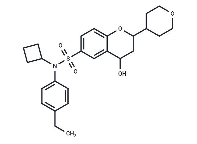 RORγt inverse agonist 23