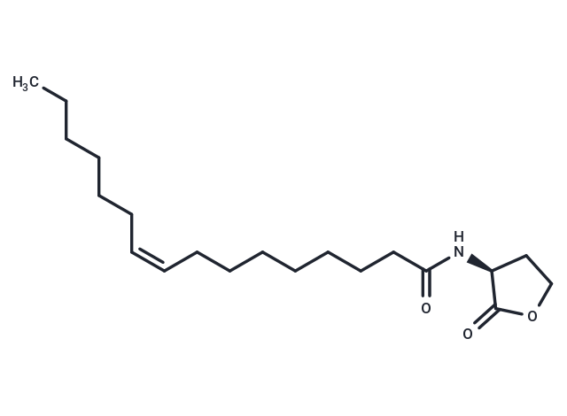 N-cis-hexadec-9Z-enoyl-L-Homoserine lactone