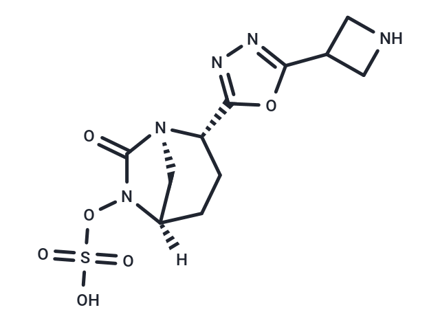 β-Lactamase-IN-4