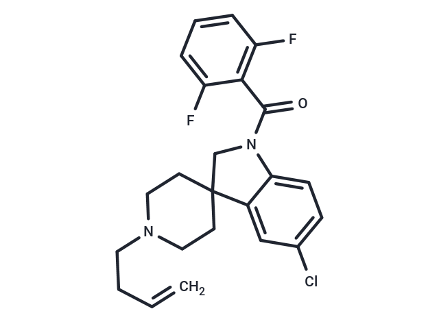 AR244555