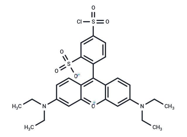 Lissamine rhodamine B sulfonyl chloride