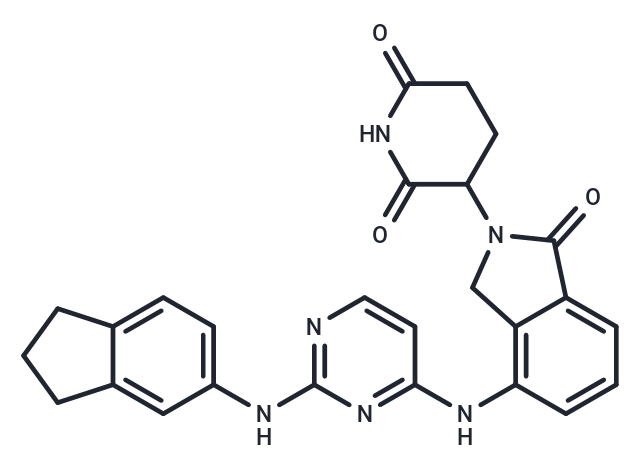 ZXH-1-161