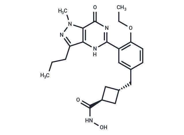 CM-546