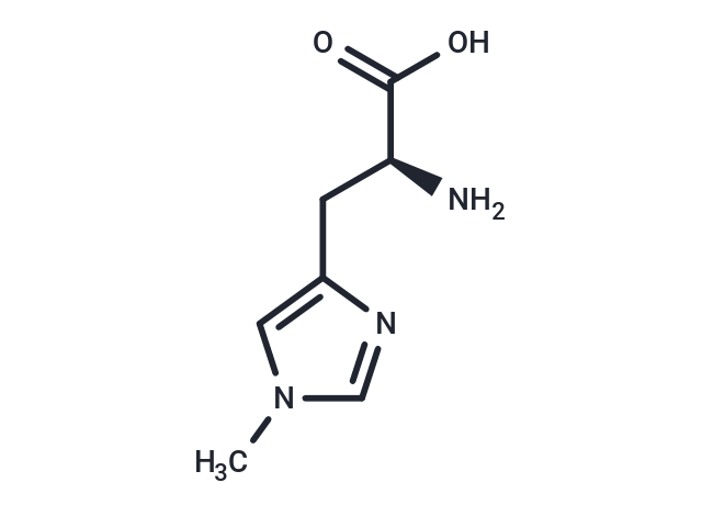 1-Methyl-L-histidine