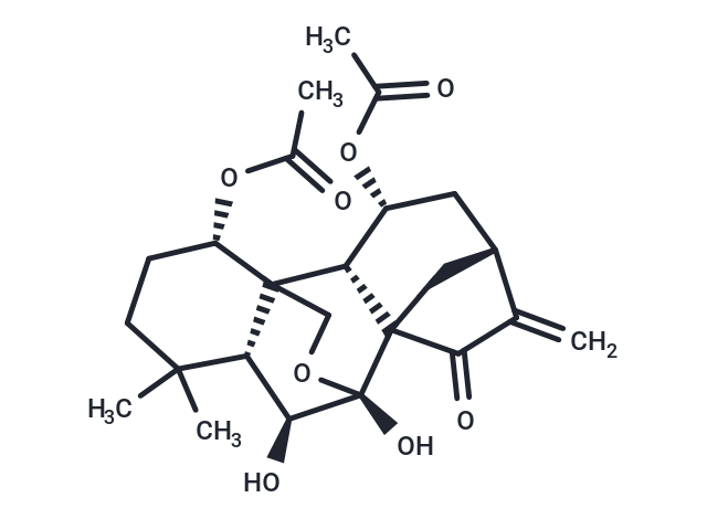 Shikokianin