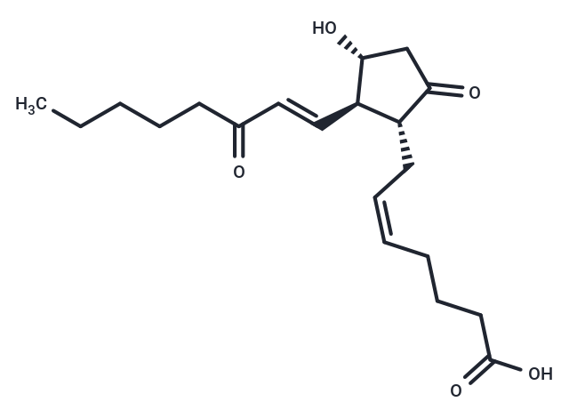 15-keto-Prostaglandin E2