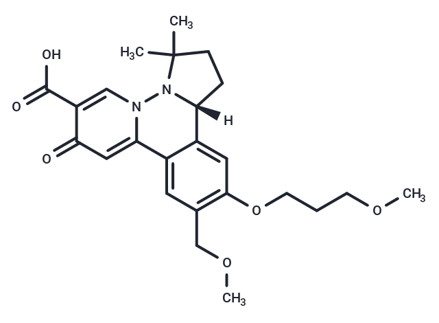 HBV-IN-19