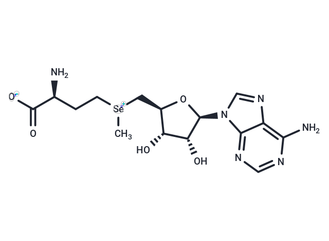 Adenosylselenomethionine