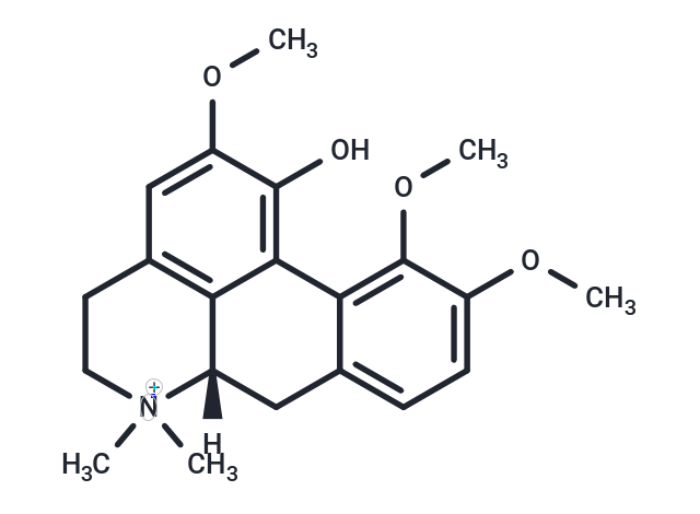 (+) N-Methylcorydine