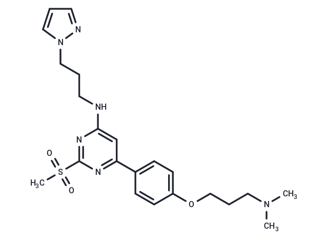 TP-238