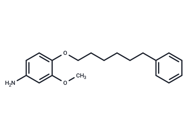 m-Anisidine, 4-((6-phenylhexyl)oxy)-