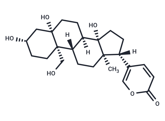 Hellebrigenol