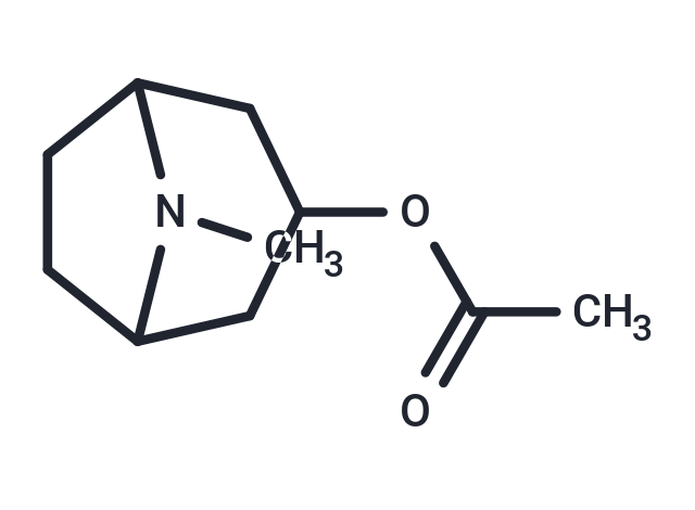 3-Acetoxytropane