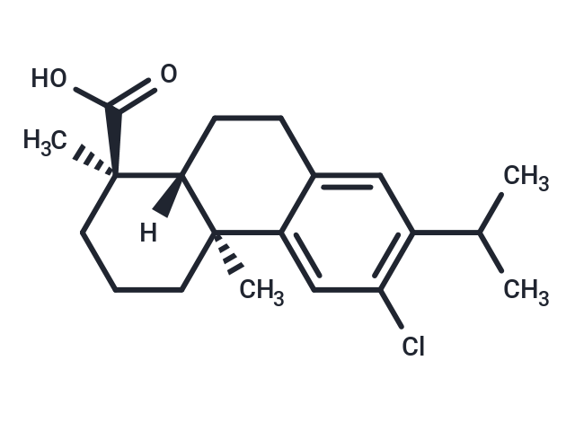 12-Chlorodehydroabietic acid