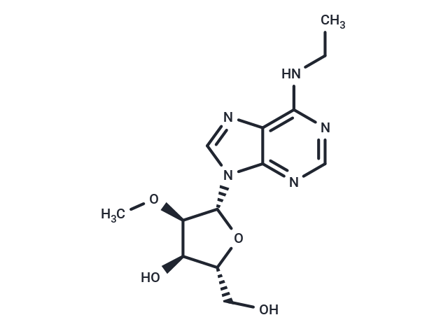 N6-Ethyl-2’-O-methyladenosine