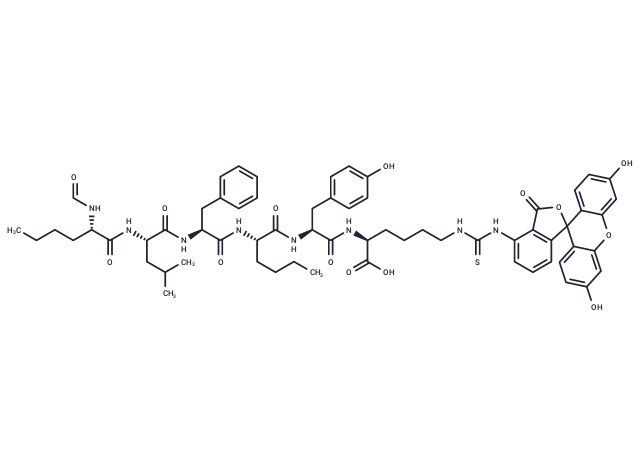 F-Chemotactic peptide-fluorescein