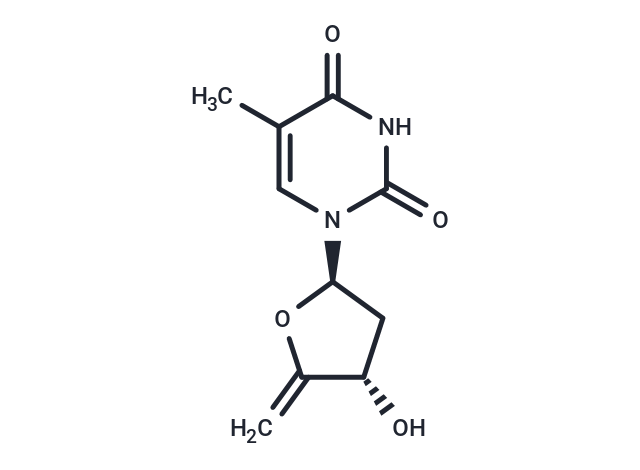 4’,5’-Didehydro-5’-deoxythymidine