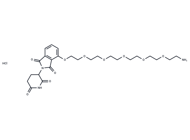 Pomalidomide-PEG6-NH2 hydrochloride