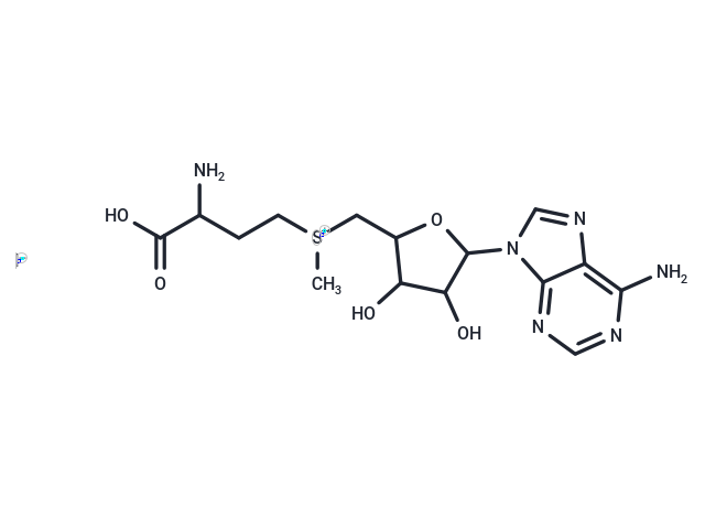 S-Adenosyl-L-Methionine iodide salt