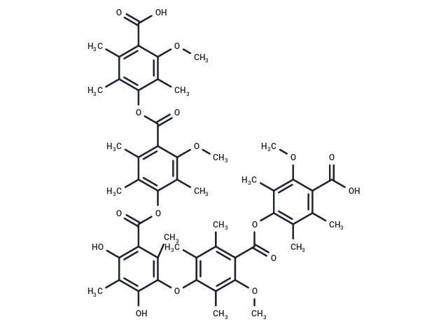 Thielocin B1