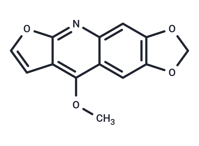 Maculine