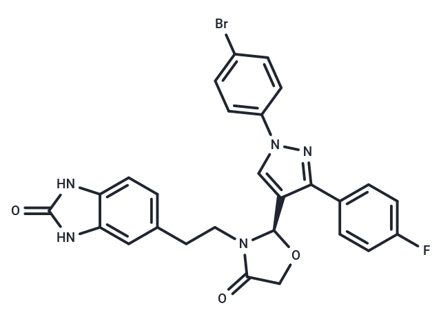 Canocapavir