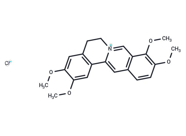 Palmatine chloride