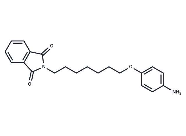 Phthalimide, N-(7-(p-aminophenoxy)heptyl)-