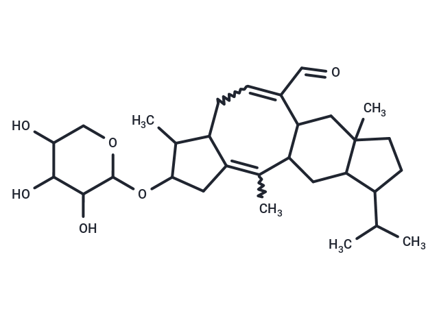 Aleurodiscal