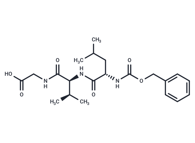 Z-LVG