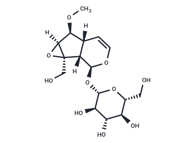 6-O-Methylcatalpol