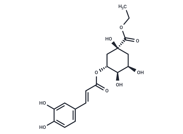 Ethyl chlorogenate