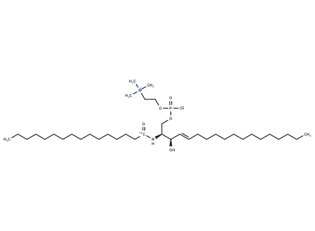 13C C16 Sphingomyelin (d18:1/16:0)