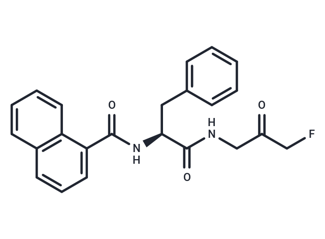 FMK 9a