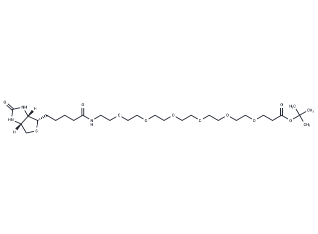 Biotin-PEG6-Boc