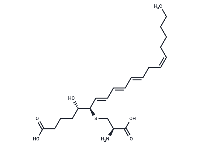 11-trans Leukotriene E4