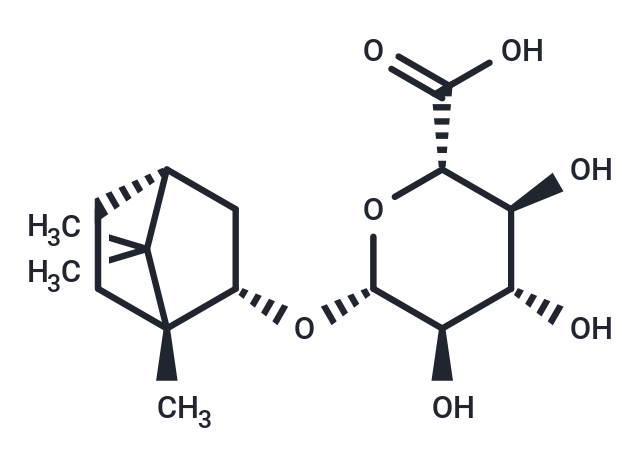 Borneol glucuronide