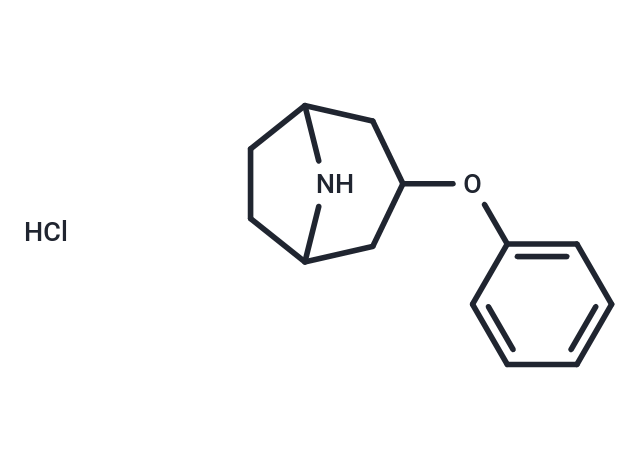 3-phenoxy-8-azabicyclo[3.2.1]octane HCl