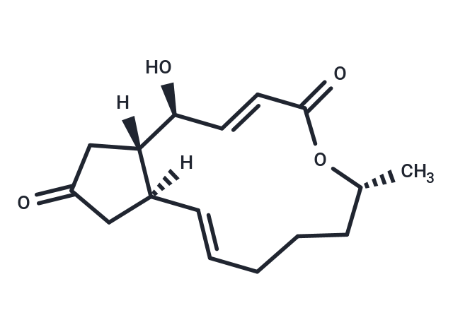 7-Dehydrobrefeldin A