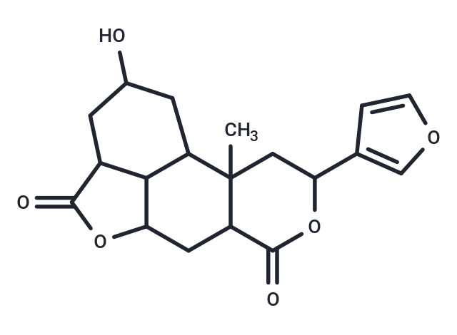 Diosbulbin G