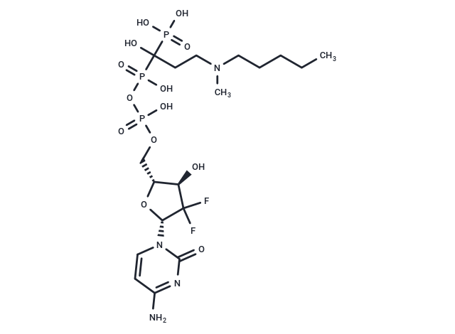 GEM–IB