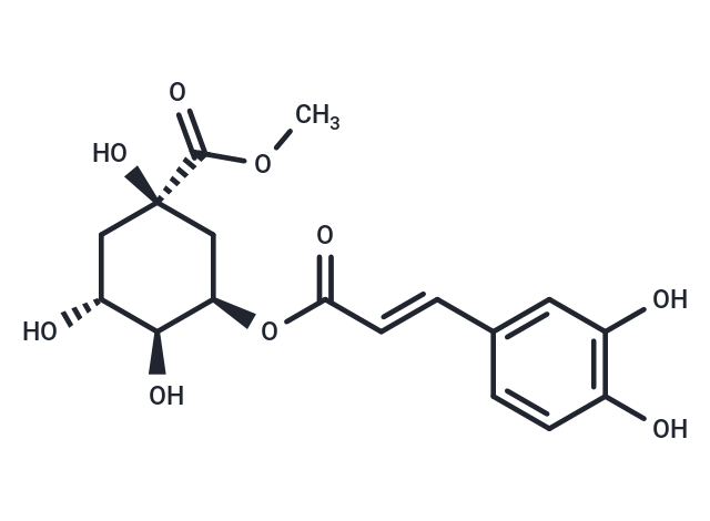 Neochlorogenic acid methyl ester