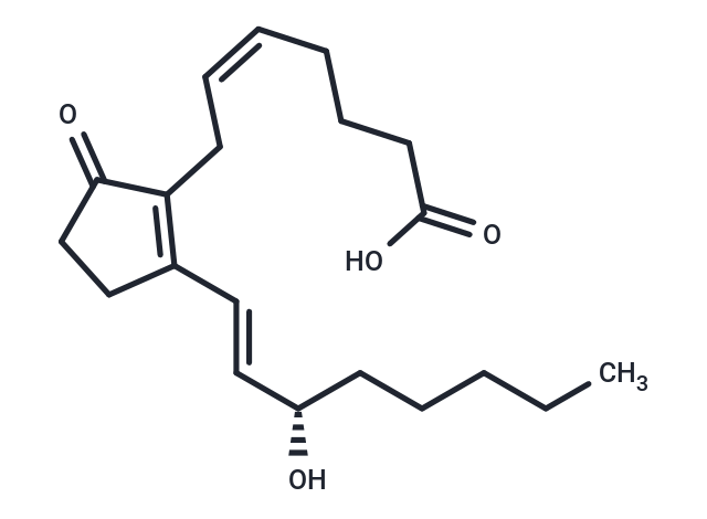 Prostaglandin B2