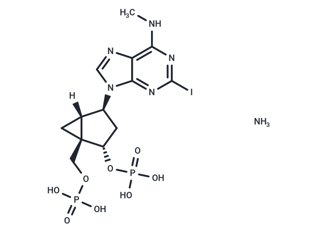 MRS2500 tetraammonium