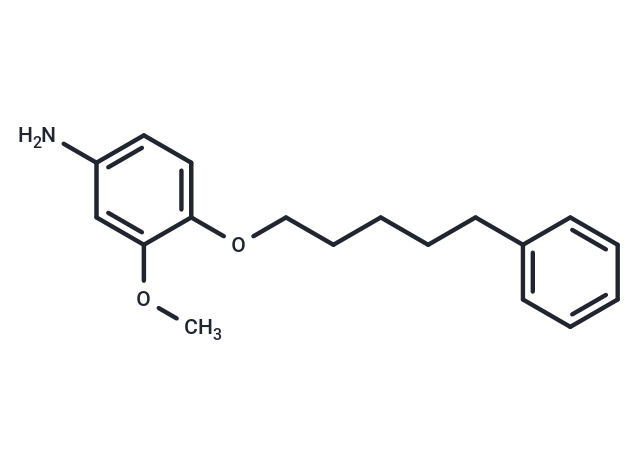 m-Anisidine, 4-((5-phenylpentyl)oxy)-